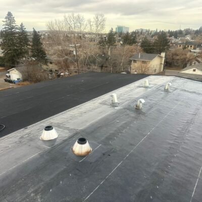 WhatsApp Image 2026-03-04 at 9.41.33 PM (2)