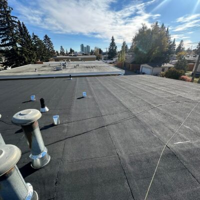 WhatsApp Image 2026-03-04 at 9.41.34 PM (2)