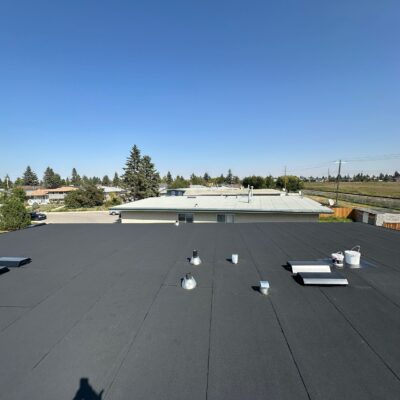 WhatsApp Image 2026-03-04 at 9.41.34 PM