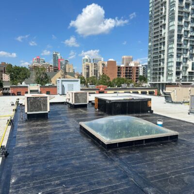 WhatsApp Image 2026-03-04 at 9.41.39 PM (1)