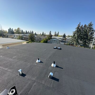 WhatsApp Image 2026-03-04 at 9.41.39 PM