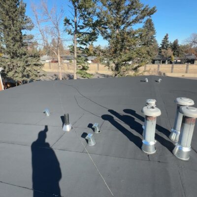 WhatsApp Image 2026-03-04 at 9.41.40 PM (1)