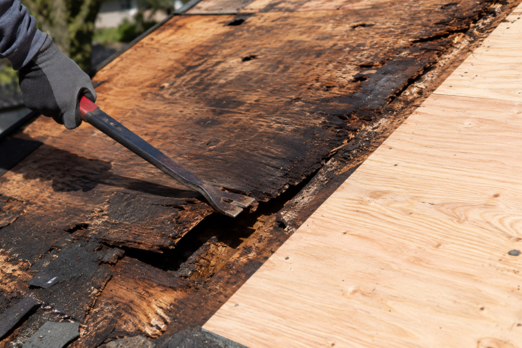 average cost of roof replacement